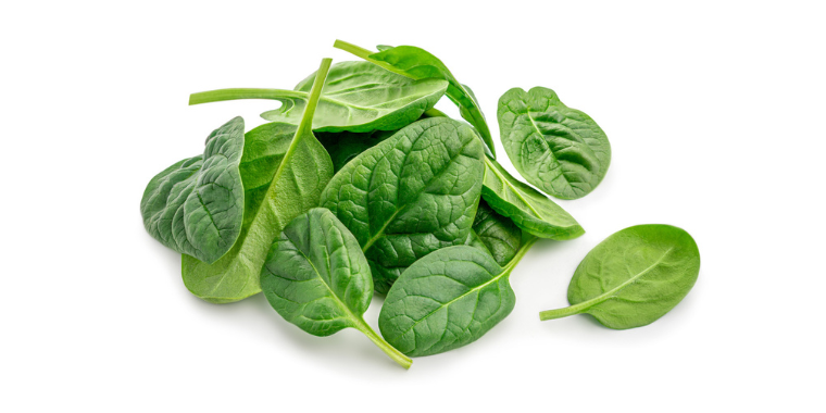 9 vertus des épinards (Spinacia oleracea)
