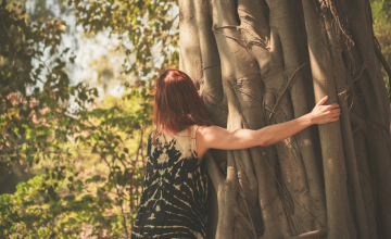 Les arbres : ces médecins silencieux