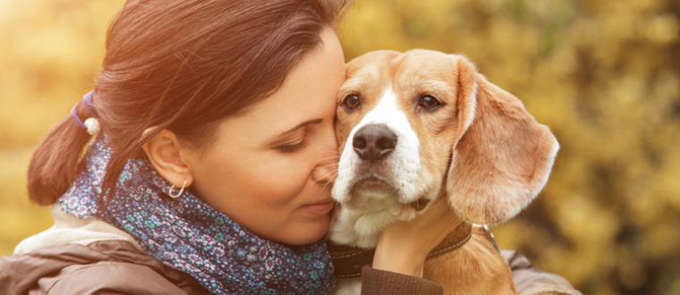 Des chiens contre les traumatismes