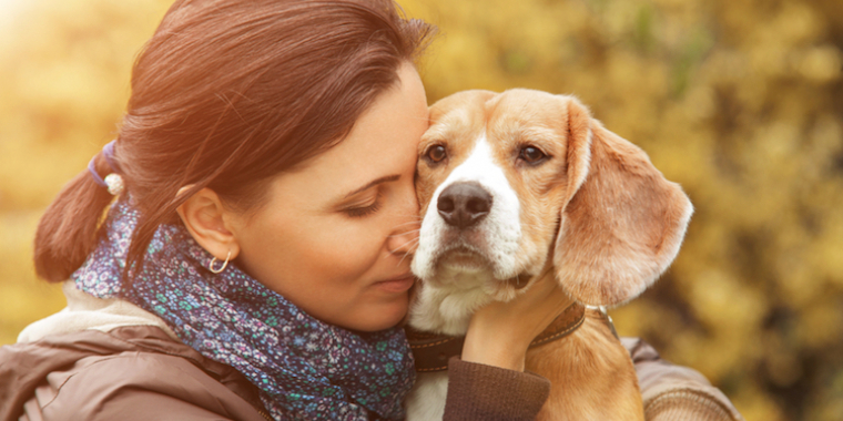 Des chiens contre les traumatismes