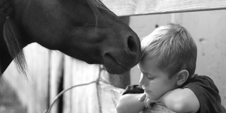 Les animaux nous soignent aussi