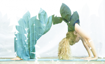 Sens et Expérience : c’est reparti !