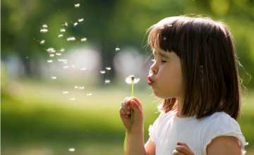 bba-bye-bye-allergies