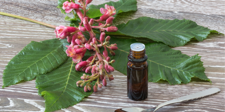 fleurs-de-bach-liberez-vos-emotions