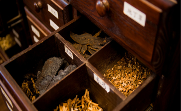 Médecine chinoise contre virus