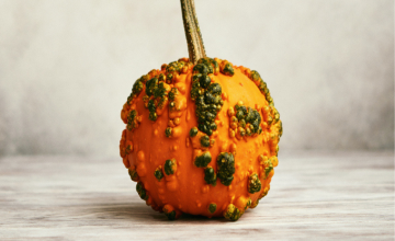 Le magnétisme pour traiter les verrues